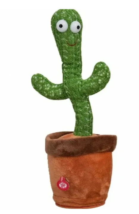 Shop Secondary Image